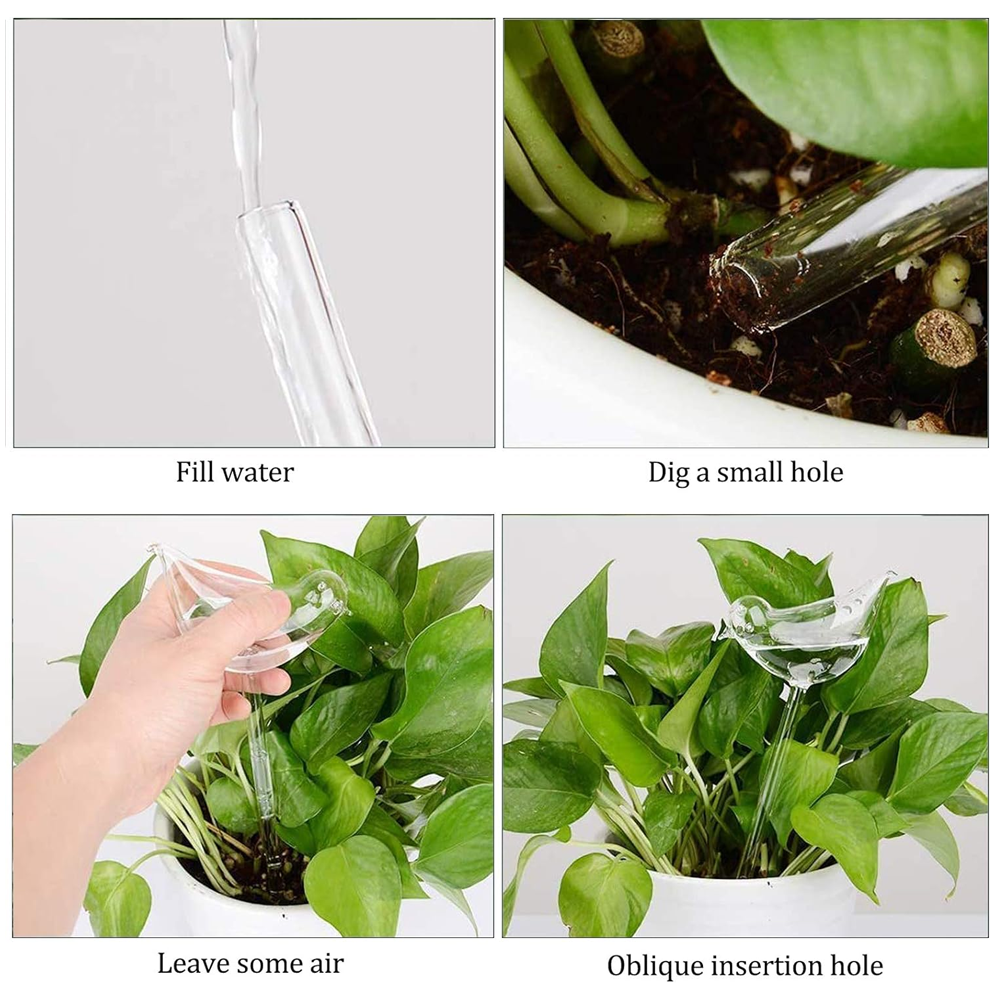 Sbam Design Uccellino in vetro per autoirrigazione Vendite Flash