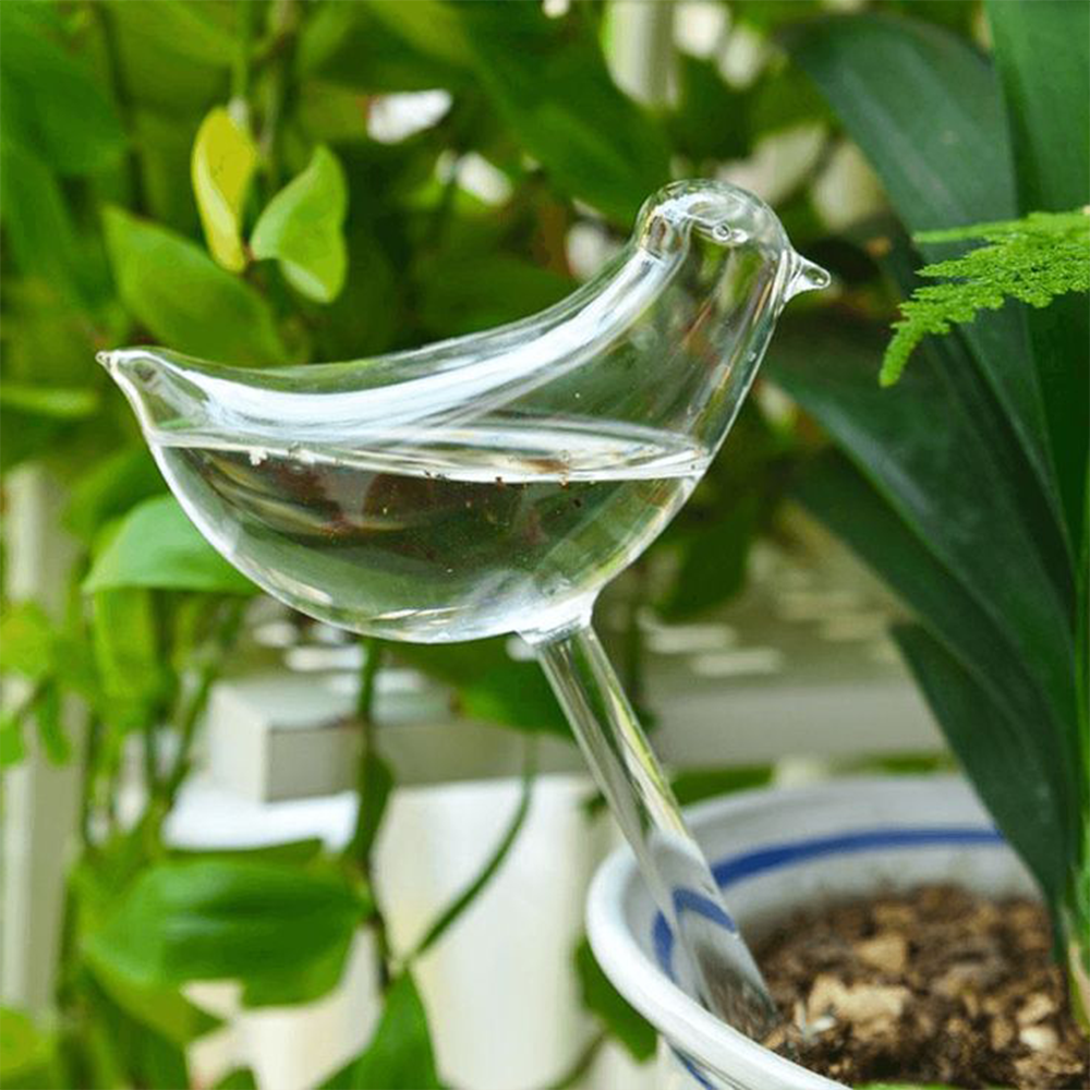 Sbam Design Uccellino in vetro per autoirrigazione Vendite Flash