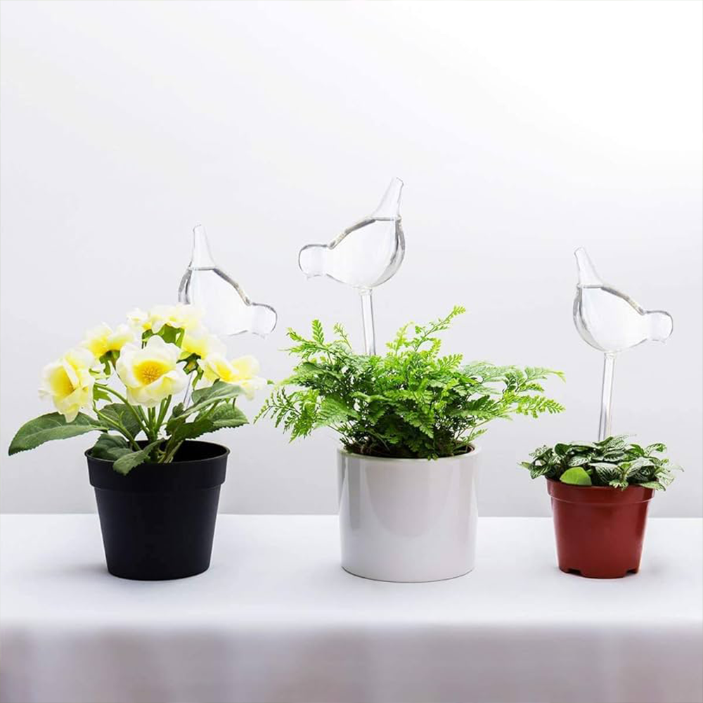 Sbam Design Uccellino in vetro per autoirrigazione Vendite Flash