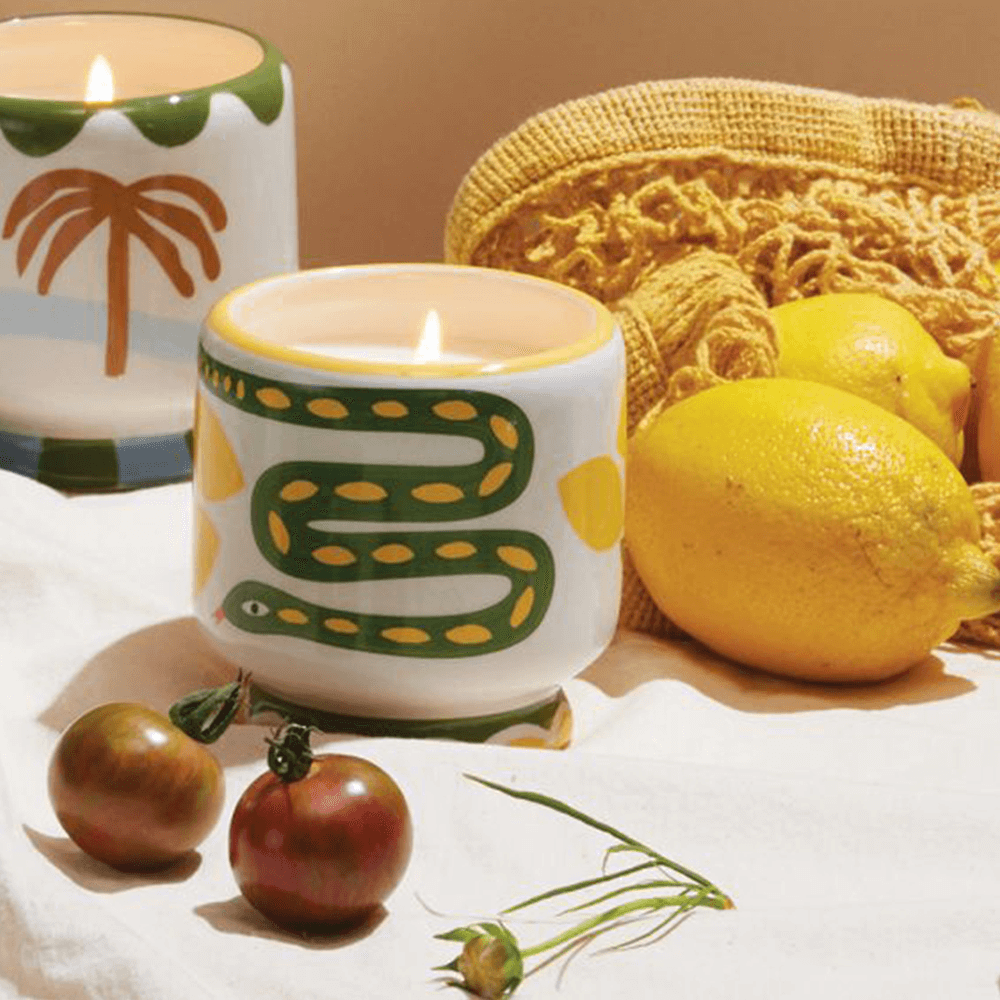 Sbam Design Candela profumata in vasetto di ceramica – wild lemongrass Acquista Ora