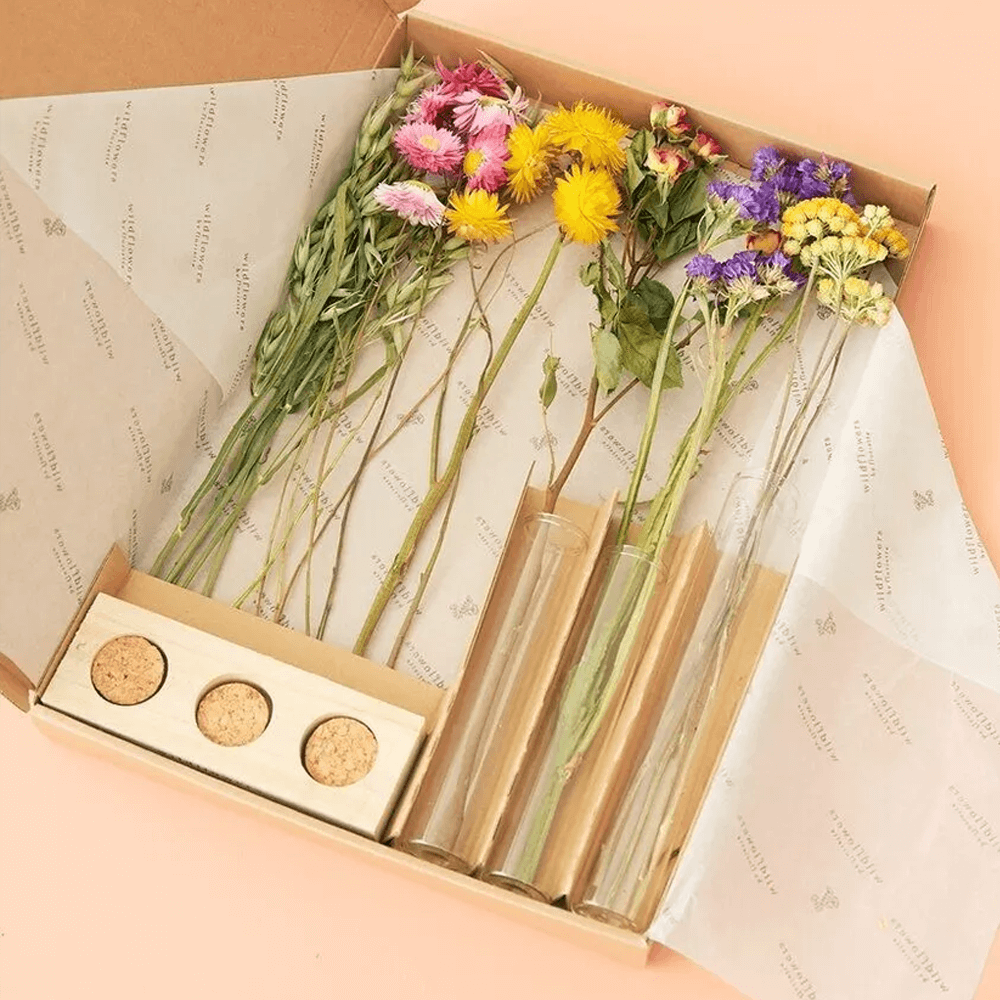 Sbam Design Set fiori secchi e fialette Prezzo Ridotto