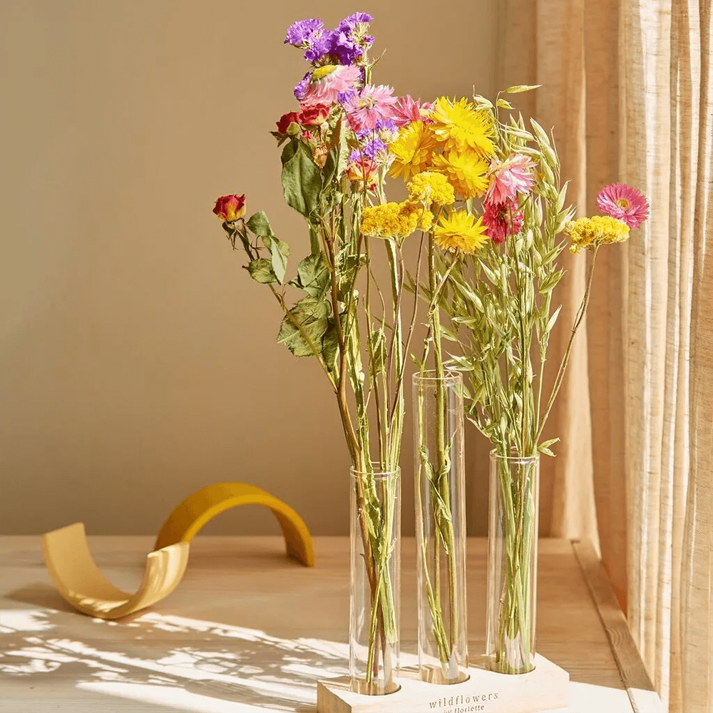Sbam Design Set fiori secchi e fialette Prezzo Ridotto