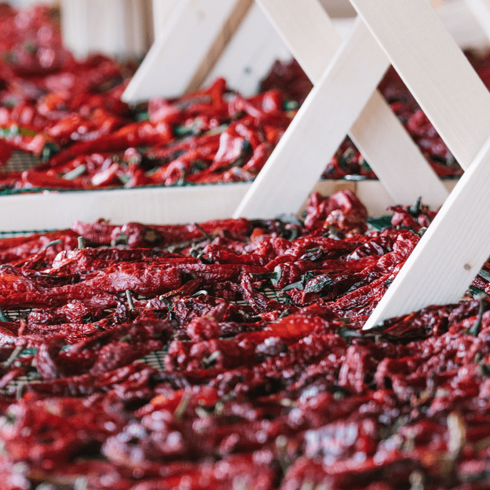 Sbam Design Fòrte – Peperoncino in olio extra vergine di oliva Nuova
