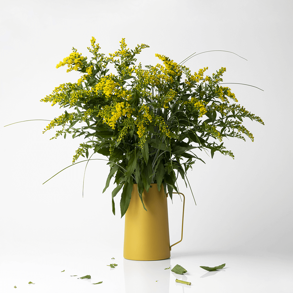Sbam Design Brocca/Vaso – Diario Acquista Ora