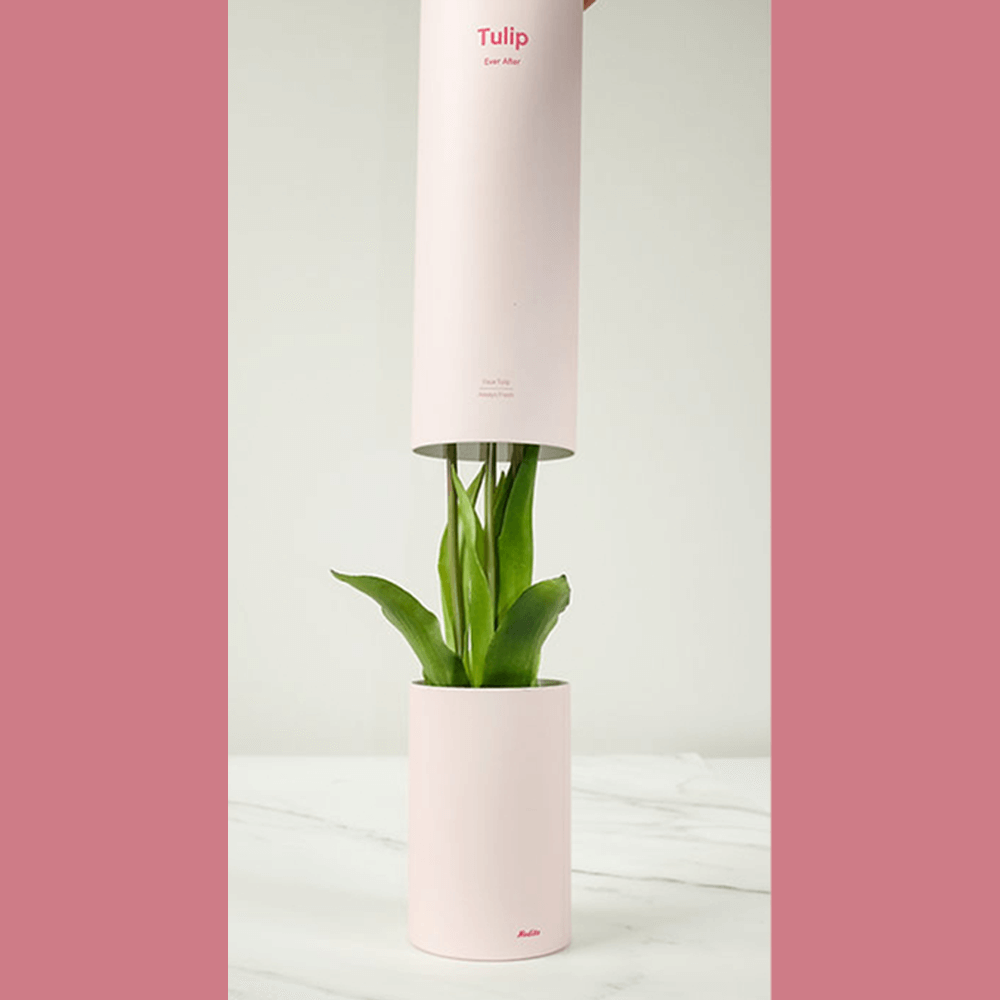 Sbam Design Tulip – profumatore per ambiente Vendita