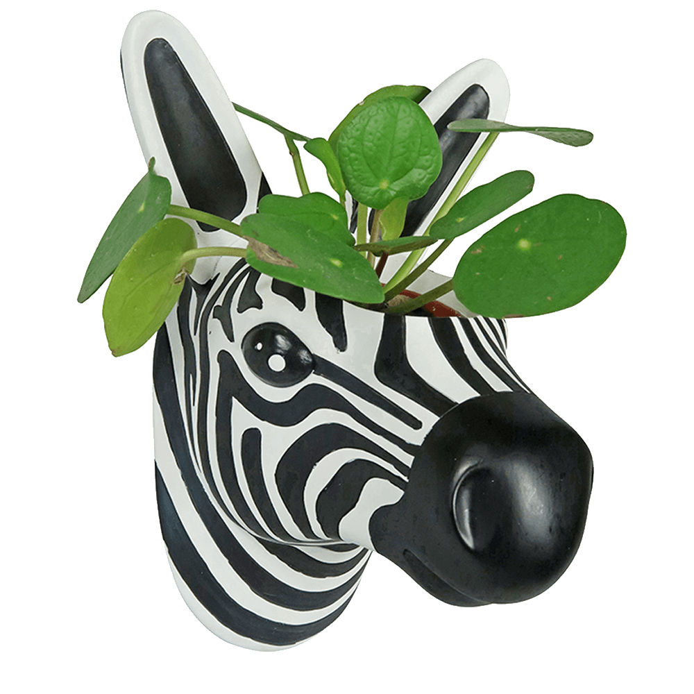 Sbam Design Vaso da parete – zebra Sconto