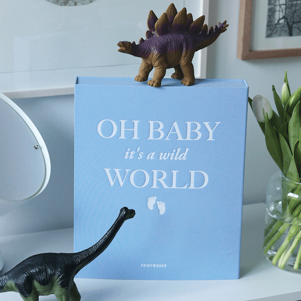 Sbam Design Album per fotografie “Oh baby it’s a wild world” Vendita Calda