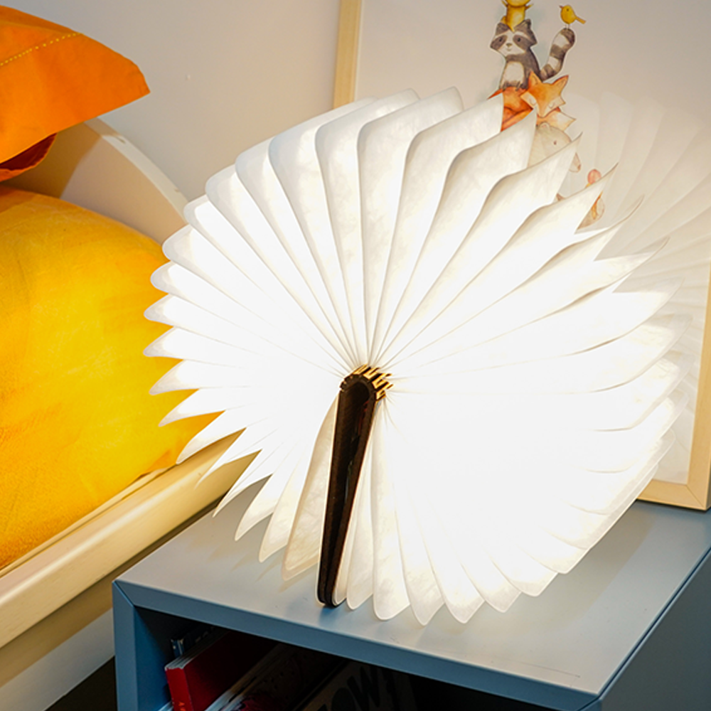 Sbam Design Pic Light – libro luminoso con copertina personalizzabile Offerte