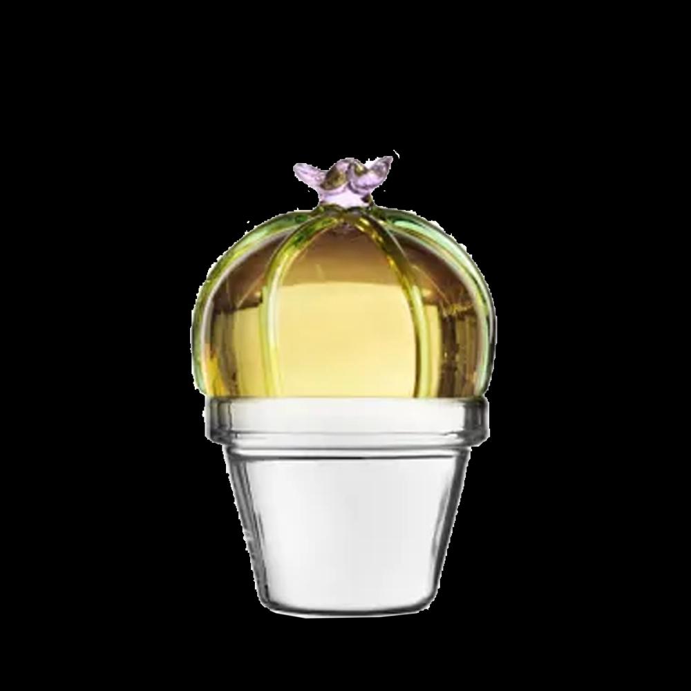 Sbam Design Fermacarte decorativo cactus di vetro Hotsell