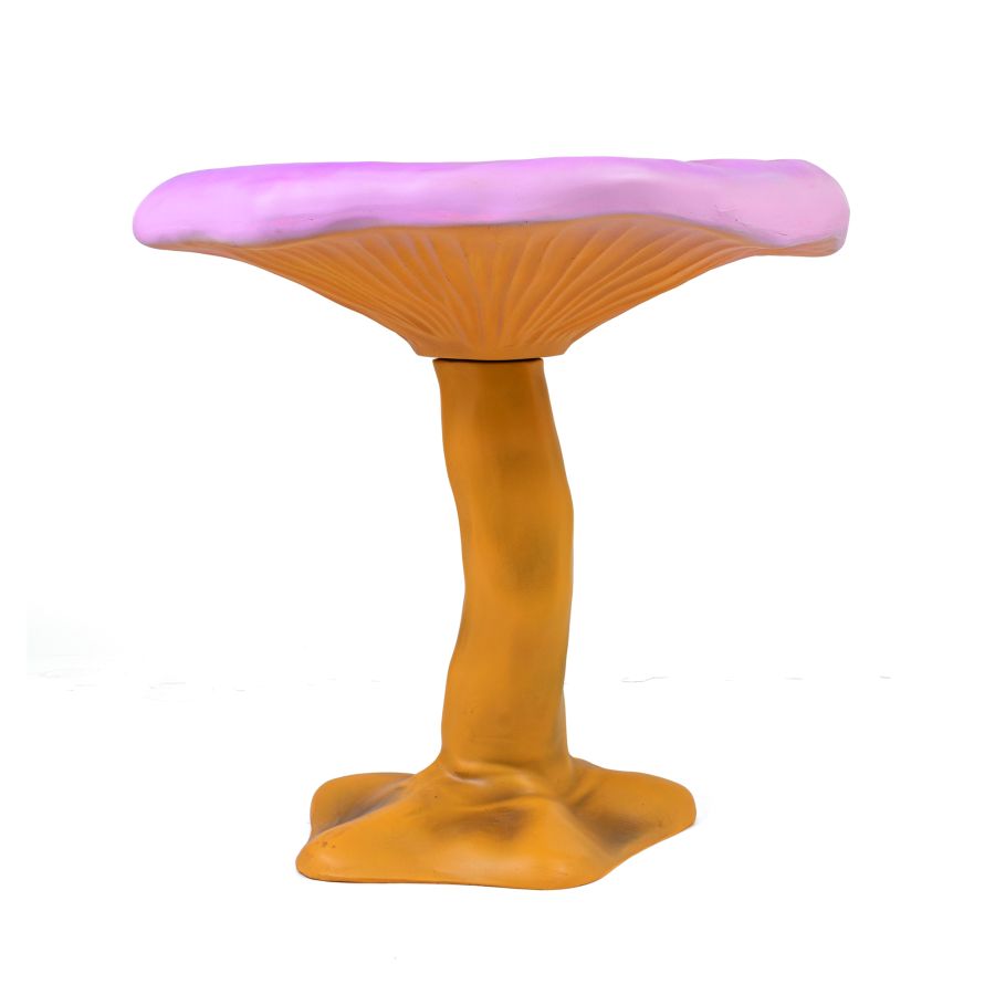 Seletti Amanita Qualità Garantita