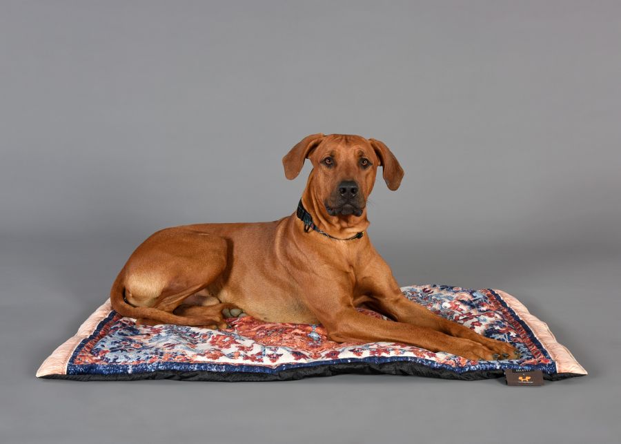 Seletti Kennel carpet PETS (R)EVOLUTION Big Convenienza