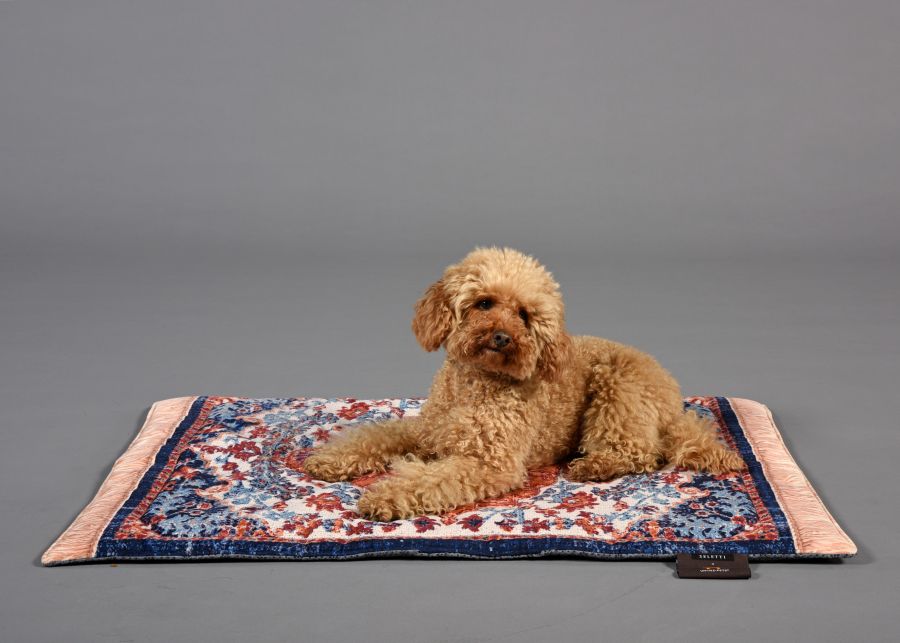Seletti Kennel carpet PETS (R)EVOLUTION Medium Presa